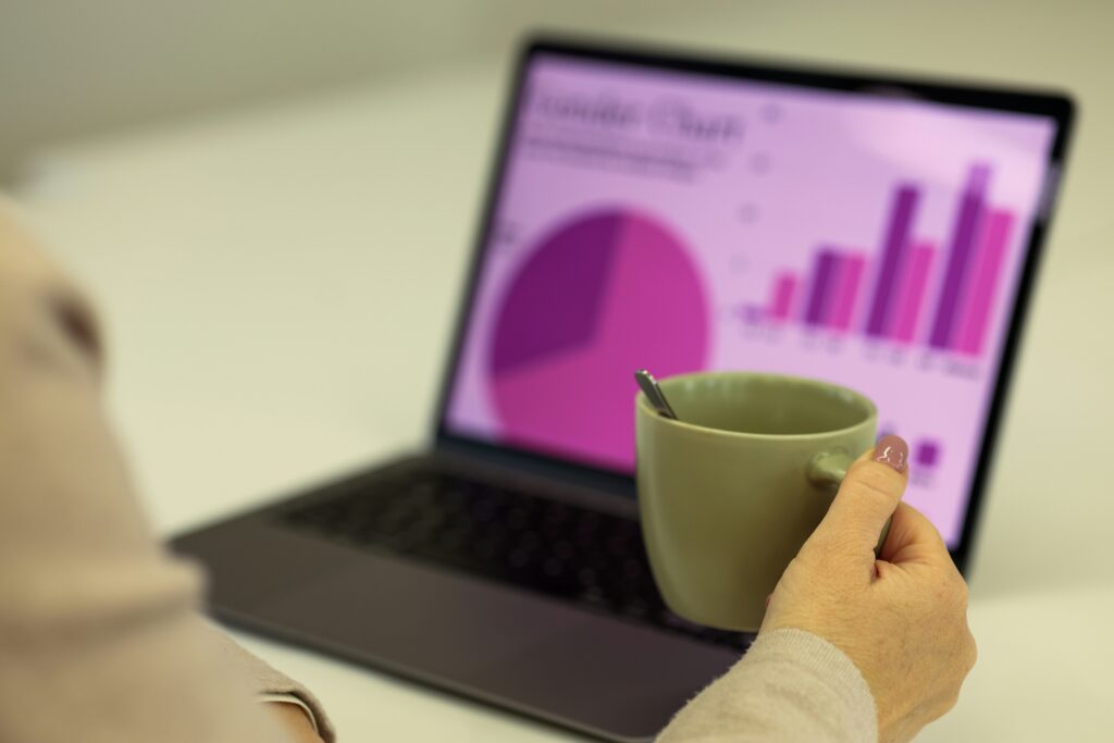 Store owner reviewing Shopify Black Friday sales analytics on a laptop